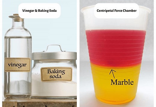 20 Fun Forces Activities For All Grade Levels  - Teaching Expertise