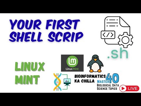 Create Your First Shell Script and Execute It in Linux Mint | Beginner Shell Scripting Guide