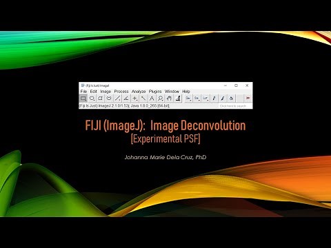 FIJI (ImageJ): Image Deconvolution [Experimental PSF]