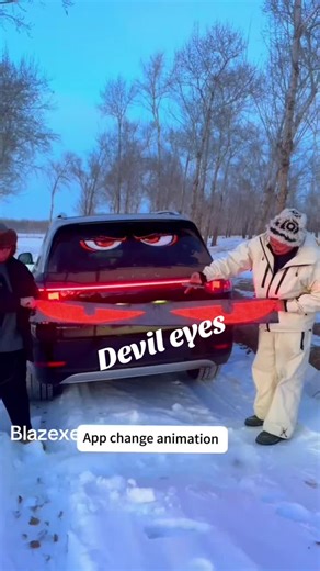 Programmable LED Eye Panels for Cars and Trucks