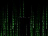 Matrix digital rain (raining code) with a message emerging i