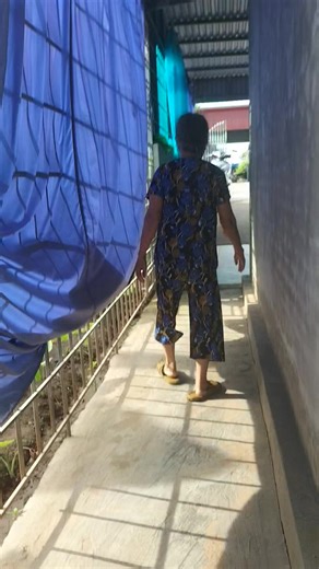 4.1K views · 28 reactions | Vũ Minh Quân :ĐT:0816199288 -0335.155.669. Đ c : Xóm 9 - Thôn Xuân Hưng - Xã Đông Hưng - Huyện Tiên Lãng - Thành Phố Hải Phòng. | Minh Quân | Facebook