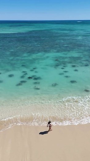 🐢 Magic in Motion on the Coral Coast ✨ From October to April, witness turtles return to nest and hatch - a breathtaking ritual millions of years in the making. 🌊💛 Please keep your distance and follow local guidelines to help protect these incredible creatures for generations to come. | Australia's Coral Coast
