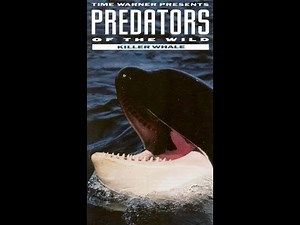 Predators of the Wild: Killer Whale (VHS full documentary 1992)
