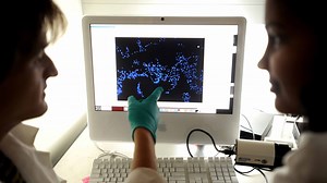 Bioengineering - Berkeley Engineering