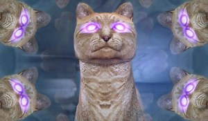 21K views · 864 reactions | “I am a cat, really.” #InternationalCatDay | BioWare | Facebook