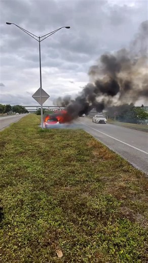 Monty Montero on Instagram: "What would you have done here?"