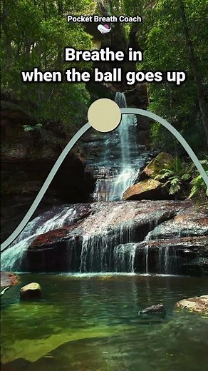 Breathing Exercise for Beginners | 5-5 Pattern for Calm and Focus