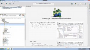 Toad Edge User Interface Overview