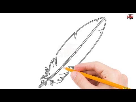 How to Draw a Feather Step by Step Easy for Beginners/Kids – Simple Feathers Drawing Tutorial