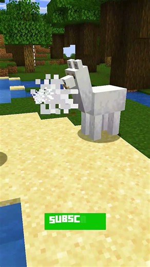 269 Minecraft Things You Didn't Know Existed! #minecraftjava #minecraft