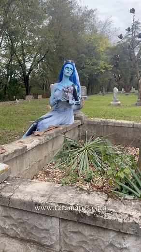 3.6K views · 112 reactions | #bts from the #corpsebride | Tara Mapes Photography | Facebook