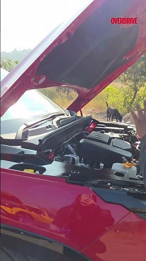 Tata Sierra’s Clever Design Hack! 😁 #overdrive