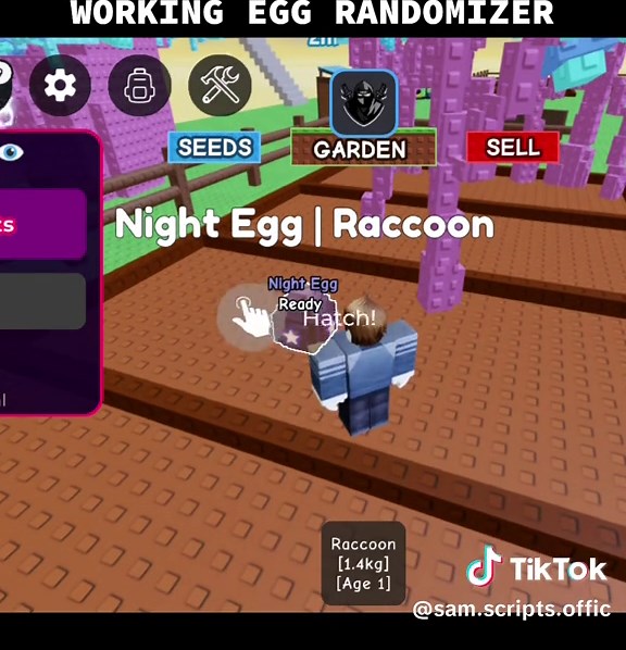 Raccoons in Roblox: Updated Egg Randomizer Fun