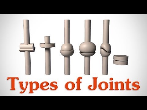 The 6 Types of Joints - Human Anatomy for Artists