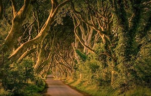 Book the Game of Thrones Tour From Dublin | Wild Rover Tours