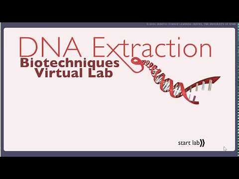 DNA Extraction Virtual Lab