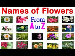 Names of Flowers with Pictures from A to Z