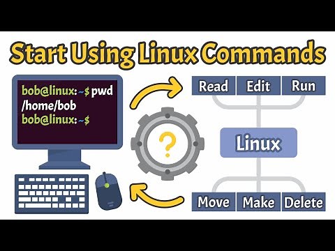 Getting Started with Linux CLI: Must-Know Commands | Linux Basics
