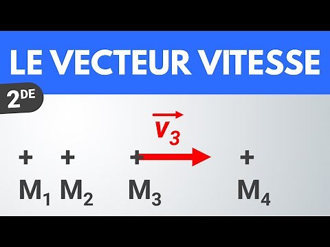 The velocity vector | Second | Physics-Chemistry