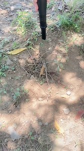 90K views · 4K reactions | Why Pinpointer is used with Metal Detector?#MetalDetecting #TreasureHunting #MetalDetector #TreasureHunters #Pakistandetectors #detectorsinpakistan | Pakistan Detector Technologies | Facebook