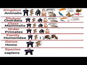 9th Biology || 3.2.1 Classification of Human || Chp. 3 || Biodiversity