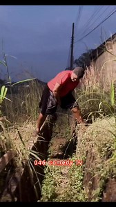 955K views · 8.7K reactions | The okultic assignment. #viralpost2025 #046comedytv #fypシ゚viralシ #viralreelsシ #046comedy #viralvideoシ #djyoungest046 #nollywood #Movies #movie | 046 Comedy Tv | Facebook