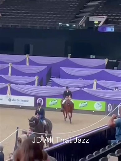 🌟 Horse of the Year Show 2022 🌟 We are back from a fab week at HOYS, every single horse behaved brilliantly and we got some great placings. We are particularly delighted with the young horses who went there for the first time and enjoyed the atmosphere 💫 Thank you to our lovely owners, thank you to Jess Breeze Equine Services for everything you do, and thank you to our sponsors The Mane Hub for helping all the horses #shinewithshapleys 👏 The end of another season! Roll on 2023! 🙌 | The Hood