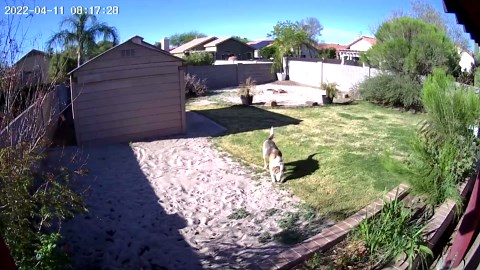 Dzees Outdoor Camera Wireless, 2K Battery Powered WiFi Surveillance Camera for Home Security System with Siren Alarm & Spotlight, Motion Detection, Color Night Vision, IP65 Waterproof Cloud/SD-2-Pack