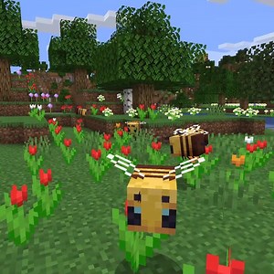 975K views · 9.4K reactions | What happens when you feed the dev team...