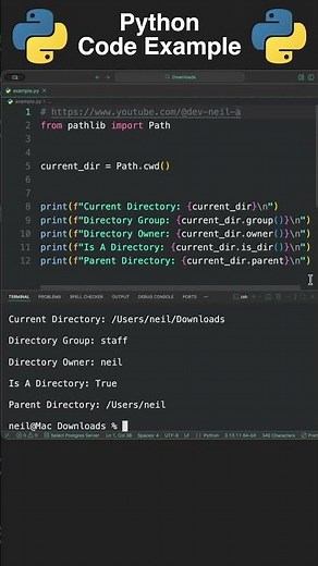 Python: Get The Path Of The Current Directory As An Object [How To]