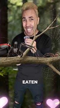 5 animals with the most depressing lives