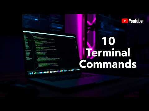 10 Mac Terminal Commands Every Developer Should Know (Beginner Friendly Guide)