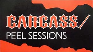 Carcass - Cadaveric Incubator of Endo Parasites