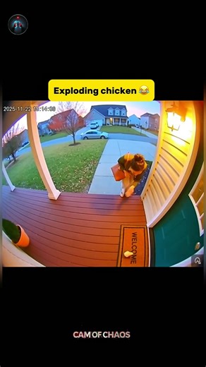 Door Camera Caught Chicken Exploding From Too Much Love 😂 | Funny CCTV Footage
