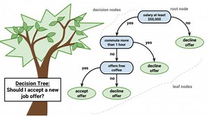 Tree Diagram Real Life Example