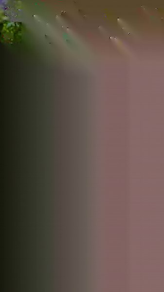 Chimpanzee Intelligence on Display: Problem Solvers of the Wild