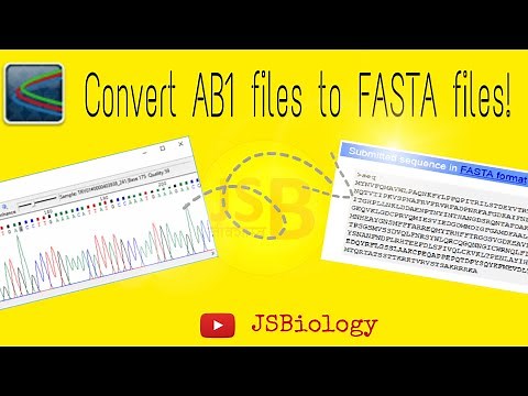 JSB #6 | Bioinformatics-5 | Using Chromas Software | Convert .ab1 file into #FASTA file | JSBiology
