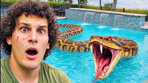 I never expected to see a python in my backyard pool - but there it was!