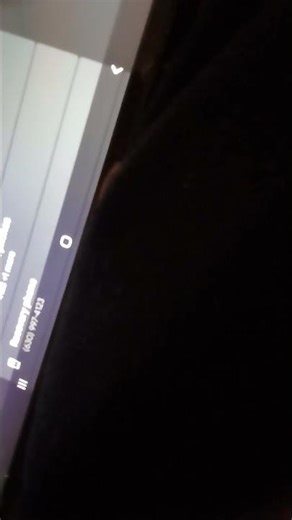 Video Camera Recorder