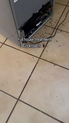 84 reactions · 18 shares | It’s That time of the year pests are very...