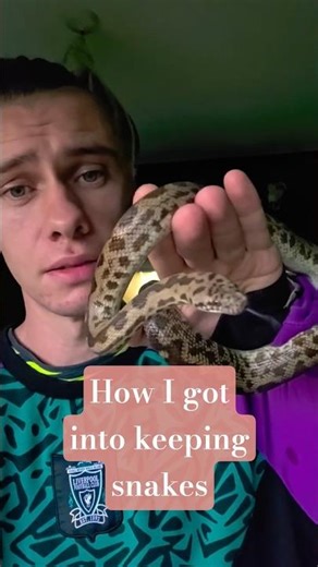 How I got into keeping snakes