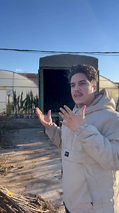 24K views · 1.4K reactions | عاجل :شاهد عملية شحن أشجار الفواكه الي ولاية سيدي بلعباس مع مشاهدة أصناف تفاح و ما هو الفرق بين حوامل طعم 0668434282 #مجيد #بليدة | بيع أشجار الفواكه المثمرة بالجملة Pépinière d'arbres fruitiers | Facebook