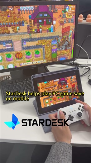 Play Stardew Valley via Remote Desktop