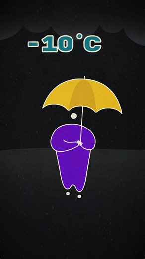 Winter Animation: Captivating Scenes of Snowy Adventures