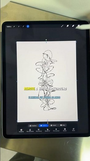 How to remove white background from an image in procreate #removebackground #procreate #howtotattoo