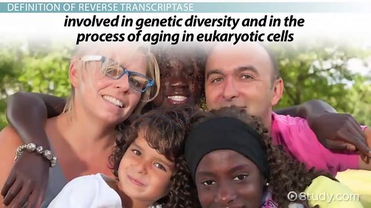 Reverse Transcriptase | Function, Structure & Application