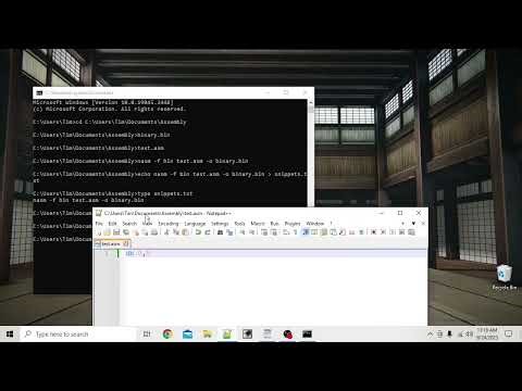 Using the Netwide Assembler (NASM)