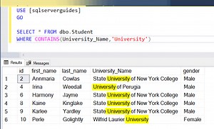Full-text search in SQL Server - DatabaseFAQs.com