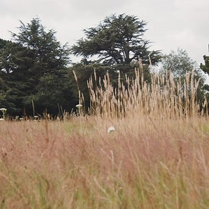 1.1K views · 104 reactions | Who likes a little racing Mini?! ‍♂️ Mini madman Nick Swift will star in both the St Mary's Trophy Part 1 and 2 AND the Gerry Marshall Trophy along with a host of other Mini Coopers and Mini 1275 GTs! Make sure you don't miss these giant killers taking down much bigger beasts at Goodwood SpeedWeek on 16th-18th. Find out more here  https://bit.ly/WhatIsSpeedWeek #gwspeedweek | Goodwood Festival of Speed | Facebook